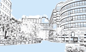 College DOGE cuts: Outline drawing of a college campus black ink on white with blue highlights & sky
